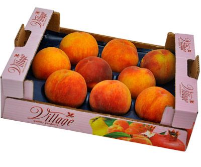 Peach from 튀르키예 supplied by Mertpa Tarim - Yellow Flesh 신선 복숭아