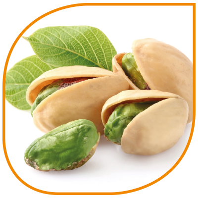 Pistachio from 스페인 supplied by PISTACHOS DEL SOL, S.L. - Whole 피스타치오 알맹이