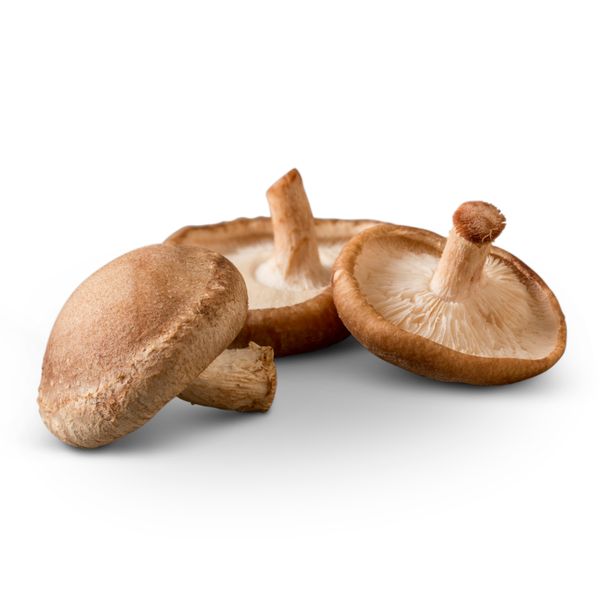 Shiitake Mushroom from 미국 supplied by Monterey Mushrooms - Fresh (=Chilled) 표고버섯