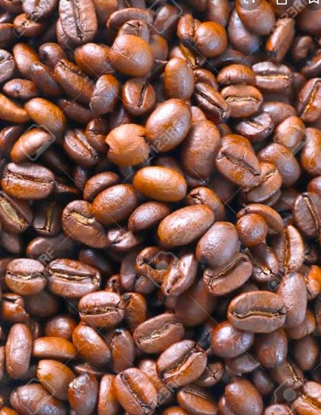 Medium Roasted Coffee Bean from 태국 supplied by Blurite Co., Ltd. - Conventional 생원두