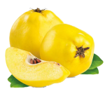 Quince from Turkiye supplied by Hatipoglu Tarim - Limon Quince