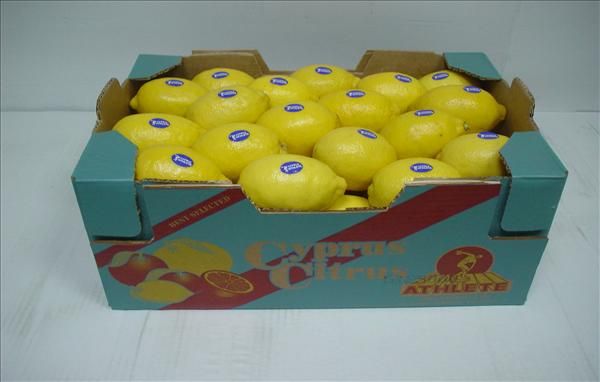 Lemon from Cyprus supplied by Groexport - ELIADA ELEONES - Whole Fresh Lemon