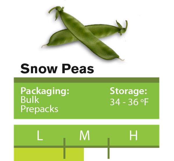 Snow Peas from 과테말라 supplied by Pakil Awal - Fresh (=Chilled) 스노우피