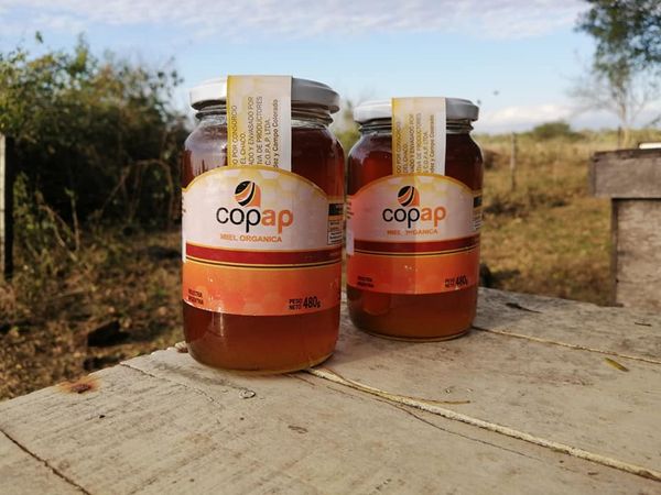 Honey from 아르헨티나 supplied by Consorcio Apicola del Chaco - Fresh 꿀