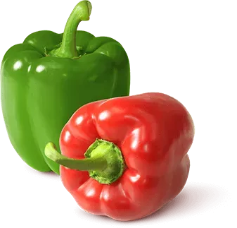 Paprika from 독일 supplied by Gemüsebau Steiner GmbH & Co KG - Red 파프리카