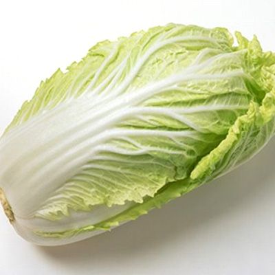 Fresh Chinese Cabbage from 중국 supplied by Botou Dongfang Fruit - Chinese Cabbage 신선 양배추