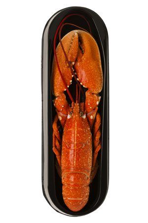 Whole Lobster from Ireland supplied by Errigal Bay - Whole Fresh Common Lobster