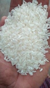 MYANMAR KAYINMA WHITE RICE from Myanmar [Burma] supplied by Ayeyar Prince Co.,Ltd. - For Food Rice