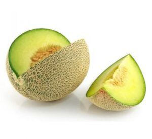 Fresh Melon from 스페인 supplied by Ecofruits Almeria - Fresh (=Chilled) 신선 멜론(머스크 멜론)