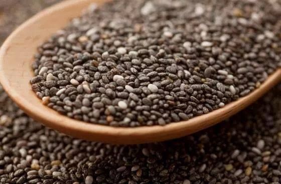 Chia Seed from 볼리비아 supplied by AgroBolivia - White 치아 씨
