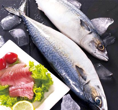 Mackerel from 아랍 에미리트 연합국 supplied by Al Qudwa Food Stuff - With Skin (=Skin On) 냉동 고등어