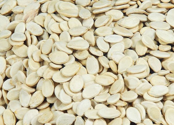 Sudanese Watermelon Seeds Watermelon seeds are extracted from the fruit... from 수단 supplied by Allan-company-for-multiple-activities - Unhulled 수박 씨
