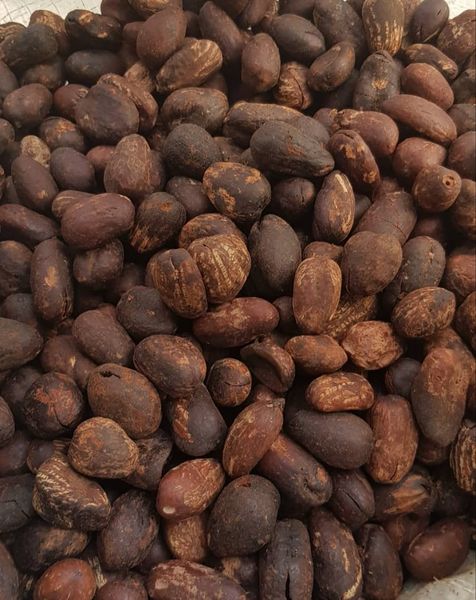 Shea Nut from Nigeria supplied by Revv Global Services Limited - Excellent Quality Shea Nut