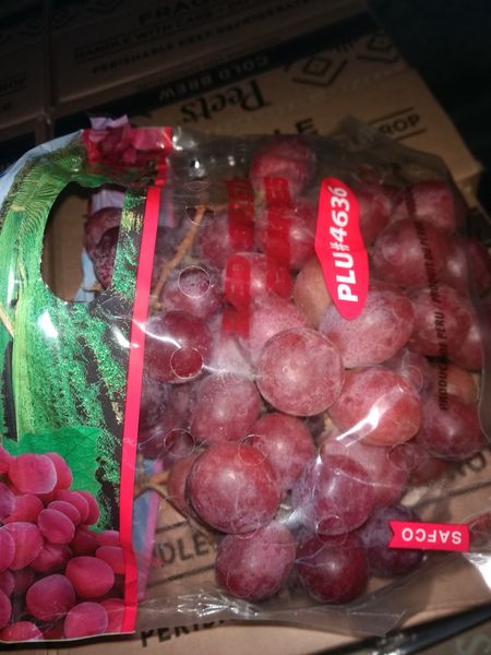 Grapes from 미국 supplied by Peterson Fruit Co., Inc - Green (=Unripe=Sour) 신선 포도