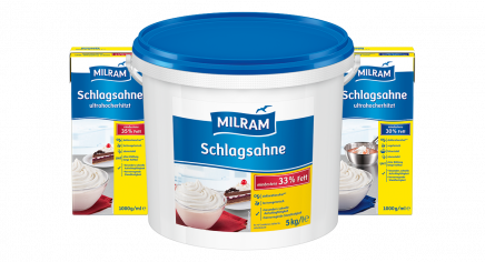Sour Cream from Germany supplied by DMK Deutsches Milchkontor GmbH - Cream Sour Cream