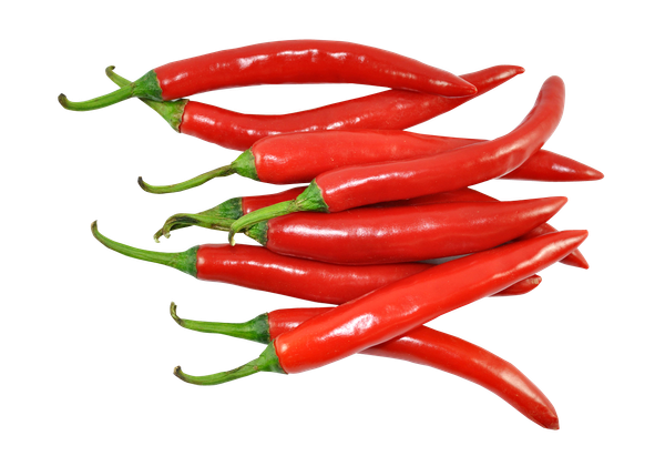 Fresh Chilies from 우간다 supplied by ULTIMATE FOODS UGANDA - 신선 고추