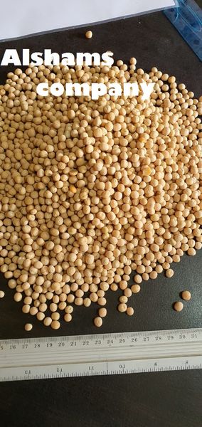 Dried peas with high quality from 이집트 supplied by Al Shams company for general import and export - PP Bags 말린 일반 콩