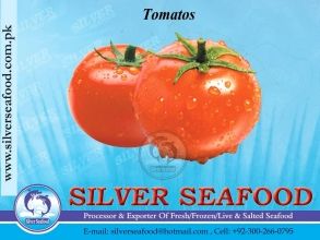 Tomato from 파키스탄 supplied by Silver Seafood - Red 신선 토마토