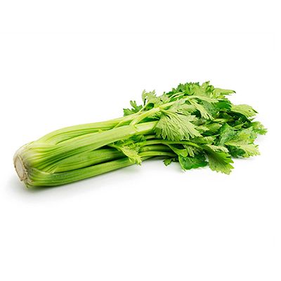 Organic Short Celery from 스페인 supplied by ORGAVITA XXI, S.L. - short 신선 셀러리