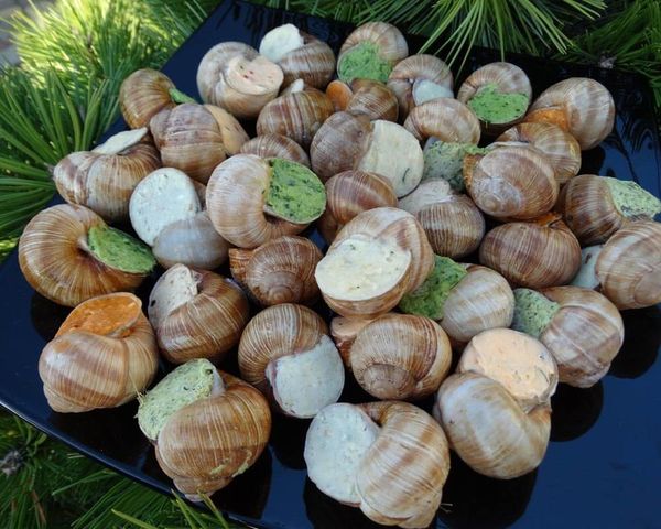 Snail from 우크라이나 supplied by ZAKHIDNYY RAVLYK - Helix Aspersa Maxima 냉동 달팽이