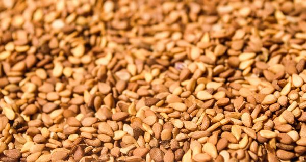 Sudanese Red Sesame Seeds from 수단 supplied by Allan-company-for-multiple-activities - For Feed 참깨
