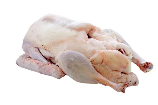 Goose Meat from 독일 supplied by Geflügelhof Wirtz - Fresh (=Chilled=Raw) 거위 고기