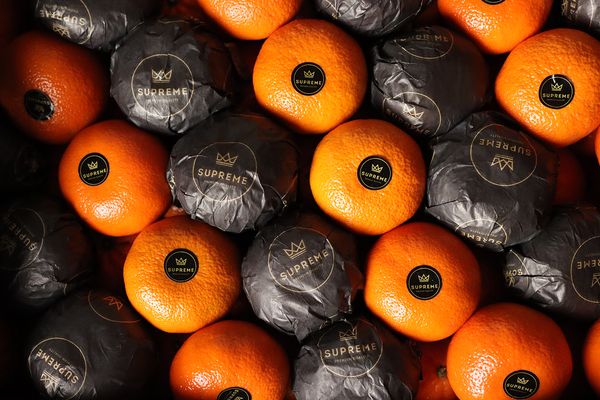 Mandarins from 독일 supplied by SFI Hamburg Fruchthandels GmbH - Fresh (=Chilled) 신선 만다린