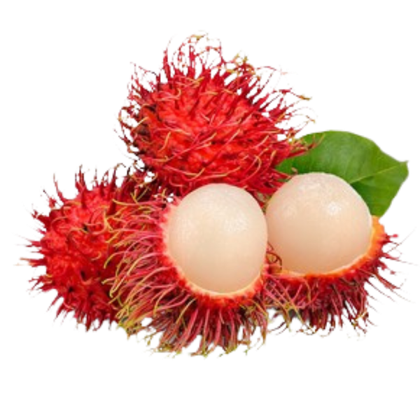 fresh rambutan from Costa Rica supplied by Productos Agropecuarios VISA S.A. - Raw Fresh Rambutan