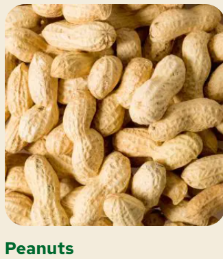 peanuts from 중국 supplied by GRAU NUTS - In-shell 땅콩 알맹이