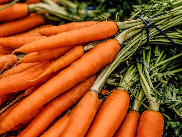 Carrots from Israel supplied by Ankor International Ltd - Orange Fresh Carrot