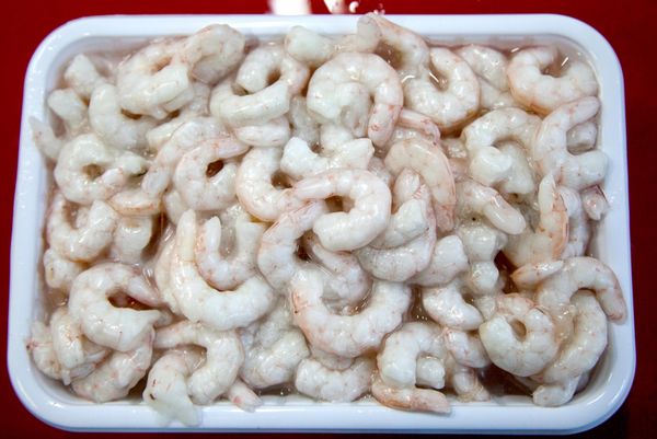 Peeled Shrimp from 알바니아 supplied by Occhio Vivo - Caridean Shrimp 냉동 새우
