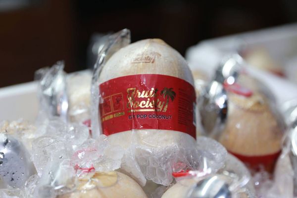 Coconut from Thailand supplied by Fruit Culture Co., Ltd. - Whole Other Fresh Coconut