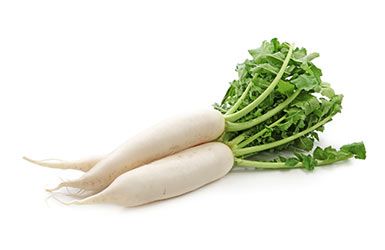 chinese radish from 캐나다 supplied by Delfland Inc - White 무