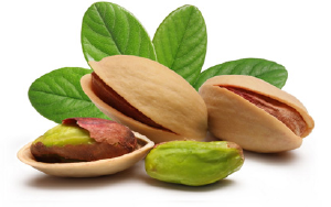 Pistachio Inside from 튀르키예 supplied by Bilen Agro - 녹색 생피스타치오