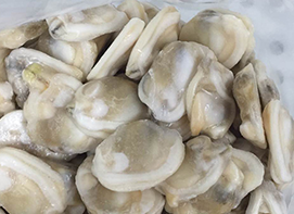 Frozen Clam Meat from 중국 supplied by Haimeng Food Ltd - Meat Only (=Shelled=Shucked) 냉동 조개