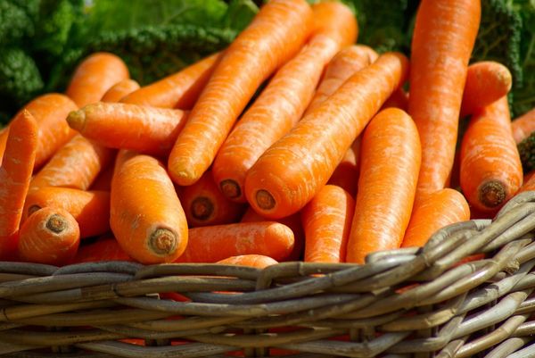 Fresh Carrot from Turkiye supplied by Mey-Pak - Orange Fresh Carrot