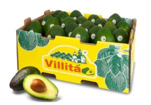 Class 1 Avocados from United States supplied by Agroexport Avocados (Villita) - Class 1 Fresh Avocado