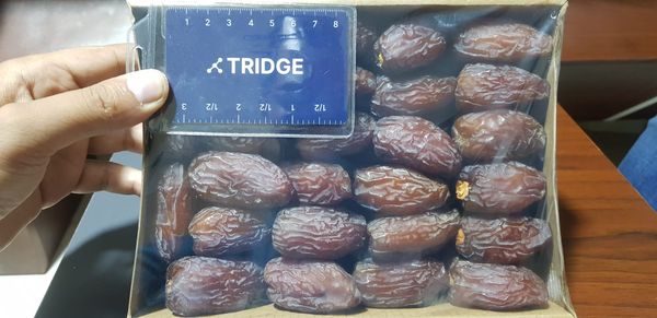 Medjool Dates from 이집트 supplied by Palm Hills Dates - Golden 신선 대추야자