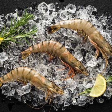 Shrimp from 아랍 에미리트 연합국 supplied by ELFAB CO LLC - Peeled - P&D Tail Off (Peeled and Deveined Tail Off) (=PND Tail Off) 냉동 새우