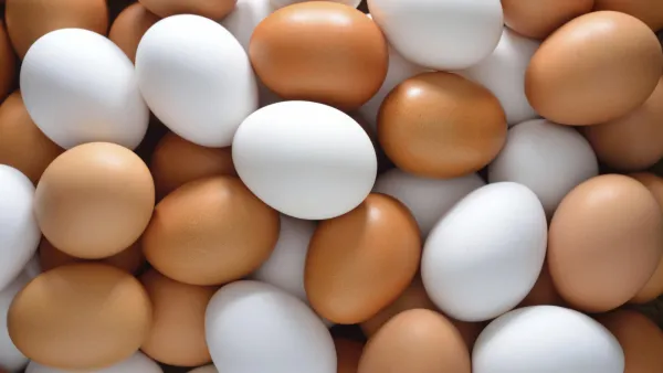Eggs from Canada supplied by Riz Global Foods - Unspecified Chicken Egg