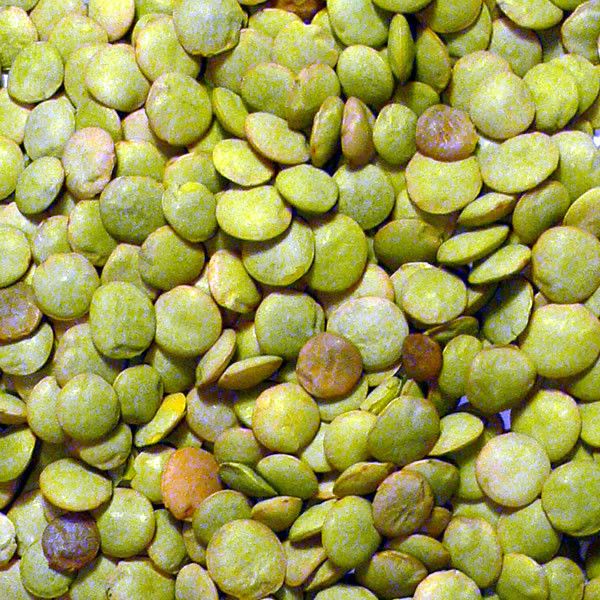 Lentil from South Africa supplied by Branson Commodities - Dried (=Dehydrated) Dried Lentil