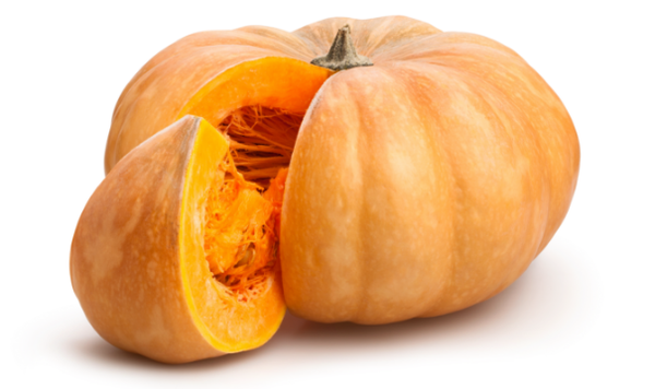 Pumpkin from Portugal supplied by Frutas Patrícia Pilar, S.A. - Muscade de Provence (=Musqee de Provence) Fresh Common Pumpkin