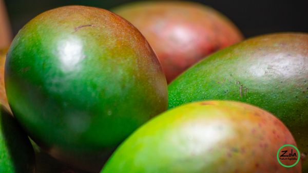 Mango from 우간다 supplied by Texacore Trade LLC - Size: 6 신선 망고