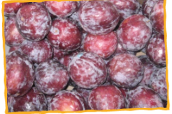 Plums from 미국 supplied by The Fresh Connection - Red 신선 자두