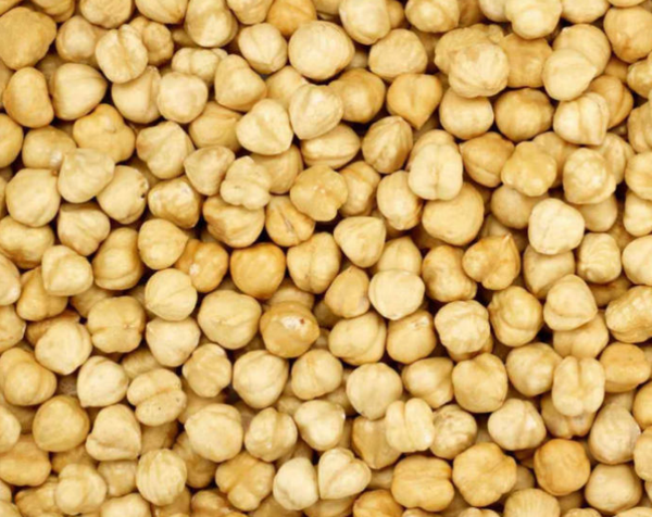 Hazelnut from Germany supplied by AMA Pistachios mbH - Shelled (=Kernel) Hazelnut Kernel