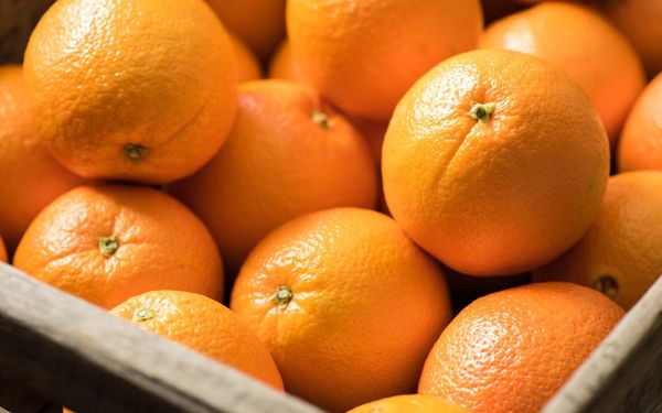 Orange from 모로코 supplied by Fresh Box - 주황색 신선 오렌지