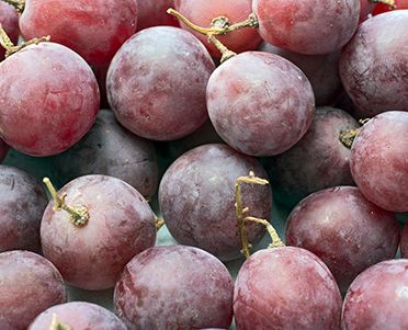 Grapes from Brazil supplied by FRUIT SERVICE Fruchthandels- und Transport GmbH - Whole Fresh Grape