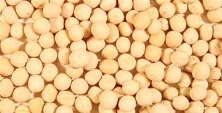 Organic Yellow Peas from 캐나다 supplied by Stonehenge Global Seeds Inc - Organic 말린 일반 콩