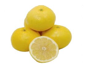 Grapefruit from 튀르키예 supplied by Kirmizidam Organik Tarim - Seedless 신선 자몽