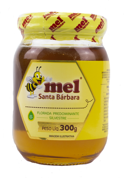Honey from 브라질 supplied by Mel Santa Barbara - Liquid 꿀